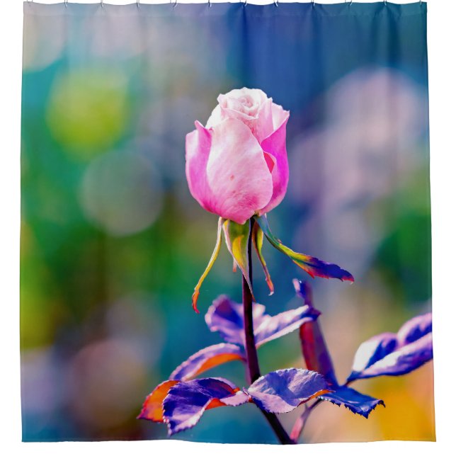 Rose Flower - Beauty Shower Curtain (Front)