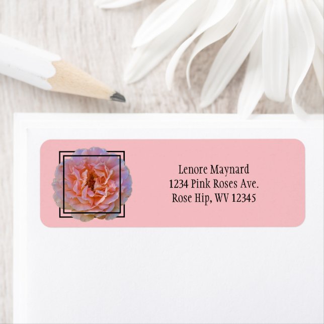 Rose Flower Blossom / Pink / Celtic Style Look / (Insitu)