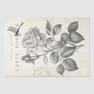 Rose Flower Dragonfly French Postmark Decoupage  Tissue Paper