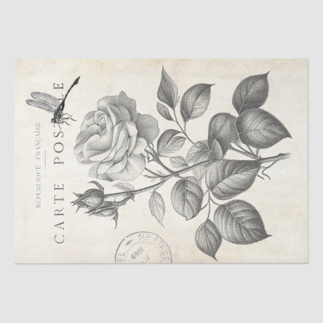 Rose Flower Dragonfly French Postmark Decoupage  Tissue Paper (Front)
