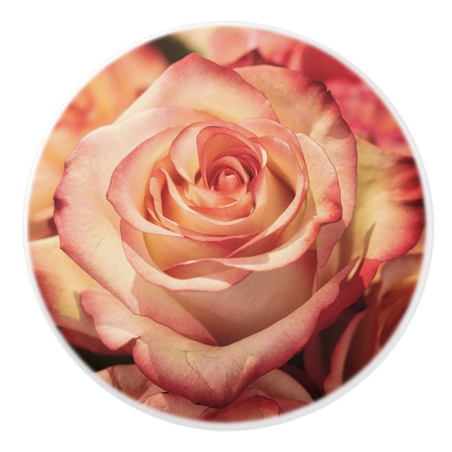 Rose Flower Petals Ceramic Drawer Cabinet Knob (Front)