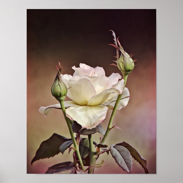 Rose Flower Portrait Photographic Art Print (Front)