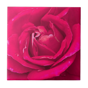 Rose flower tile