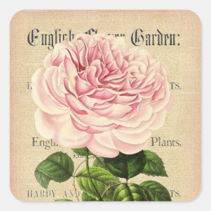 Rose flower vintage feminine floral sticker