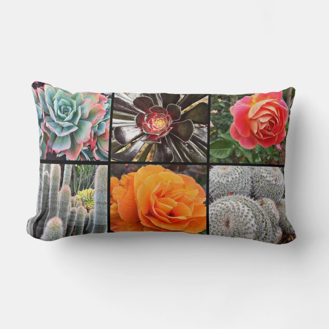 Rose flowers and cacti photo collage colourful bol lumbar cushion (Front)