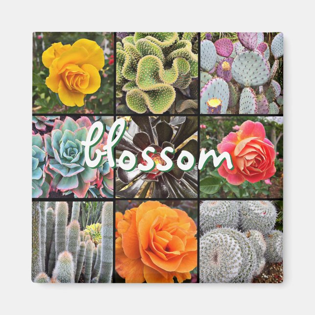Rose Flowers Cacti Photo Collage Blossom Script Magnet (Front)