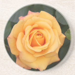 rose flowers flower love wife sweetheart couple coaster