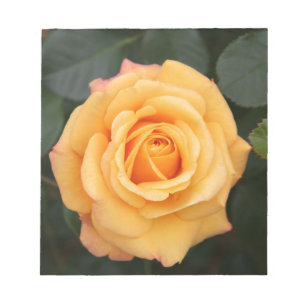 rose flowers flower love wife sweetheart couple notepad