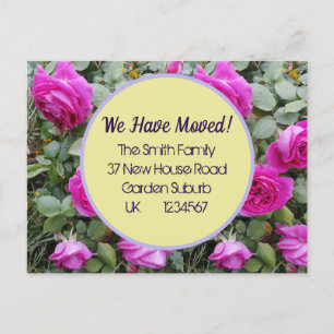 Rose Flowers New Address Postcard, We Are Moving Postcard