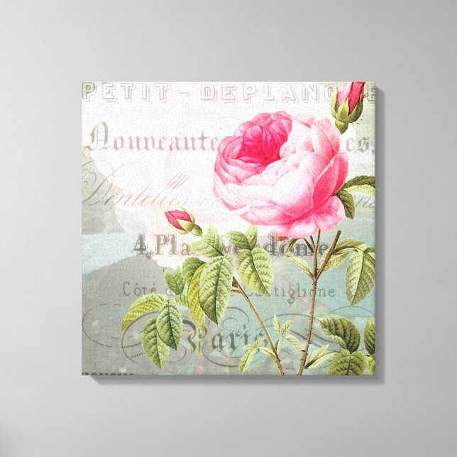 Rose French Accent Shabby Premium Wrapped Canvas (Front)