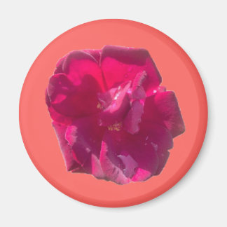 Rose G Magnet