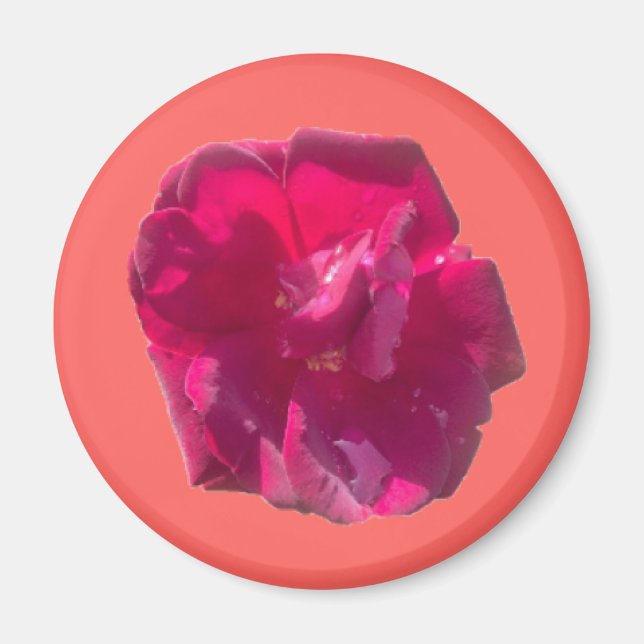Rose G Magnet (Front)