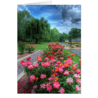 Rose Garden