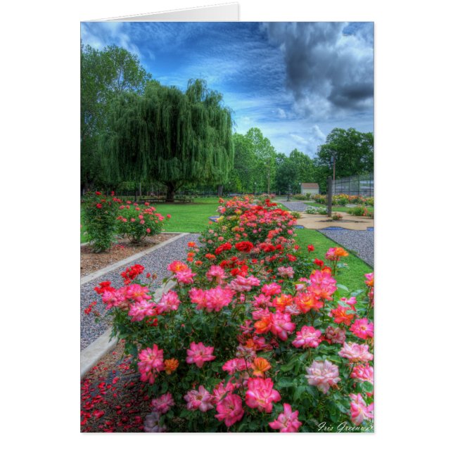 Rose Garden (Front)