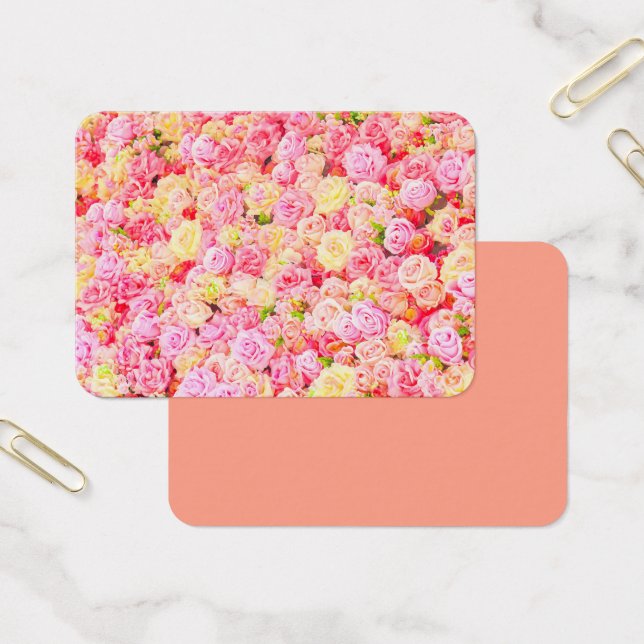 Rose garden (Office)