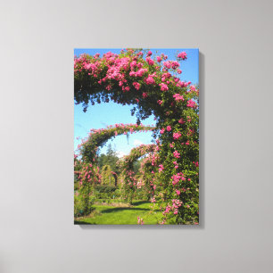 Rose Garden Arches of Elizabeth Park Canvas Print