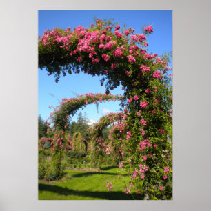 Rose Garden Arches of Elizabeth Park  Poster