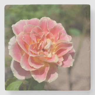 Rose Garden Coaster