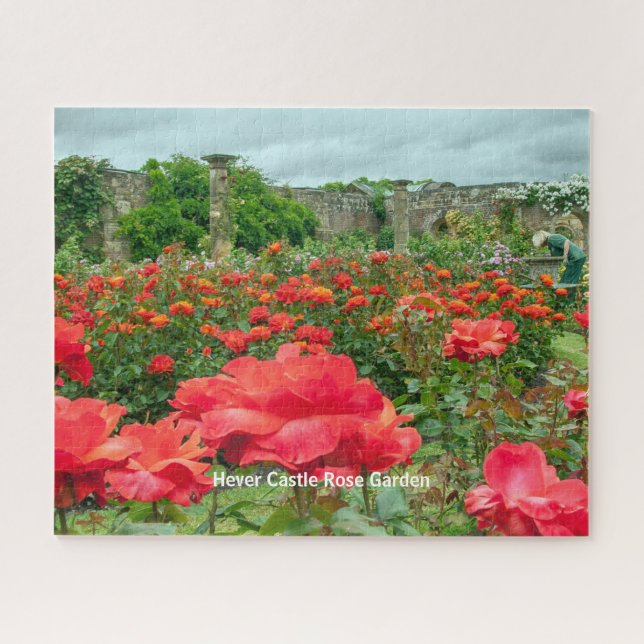 Rose Garden Hever Castle Kent Scenic Picture Jigsaw Puzzle (Horizontal)