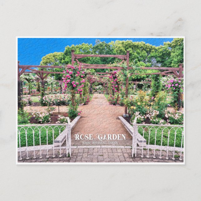 Rose Garden (Nagai Botanical Garden) ポストカード Postcard (Front)