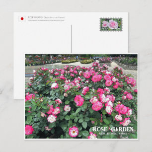 Rose Garden (Nagai Botanical Garden) Postcard