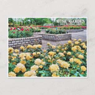 Rose Garden (Nagai Botanical Garden) Postcard
