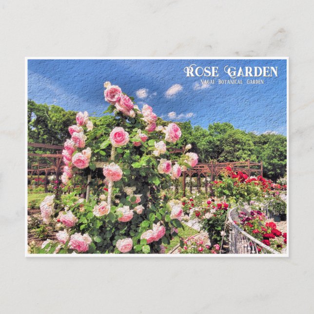 Rose Garden (Nagai Botanical Garden) Postcard (Front)