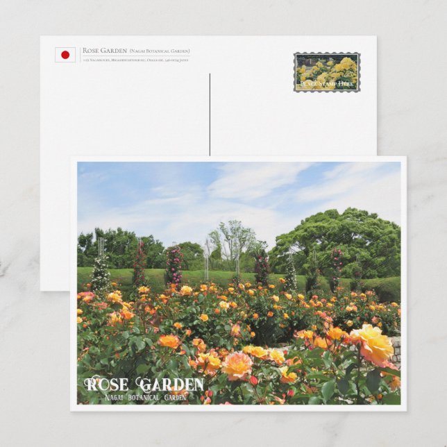 Rose Garden (Nagai Botanical Garden) Postcard (Front/Back)