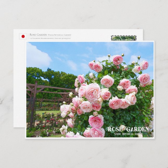 Rose Garden (Nagai Botanical Garden) Postcard (Front/Back)