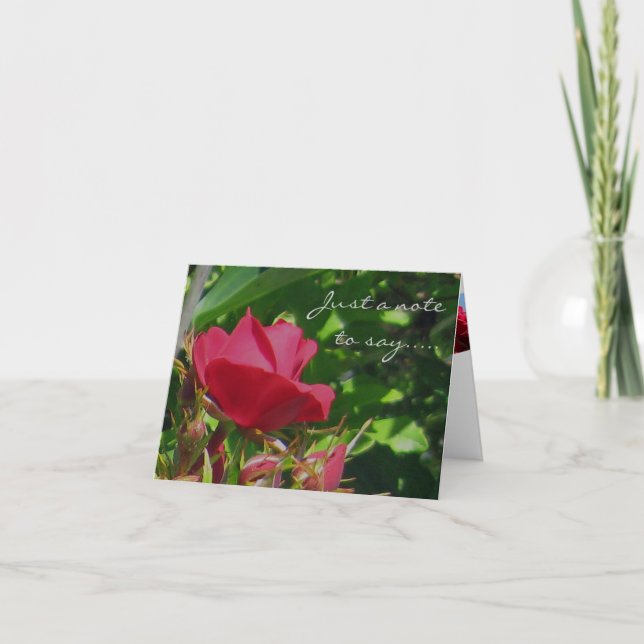 Rose Garden Note Card (Front)