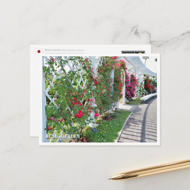 Rose Garden Postcard (Front/Back In Situ)