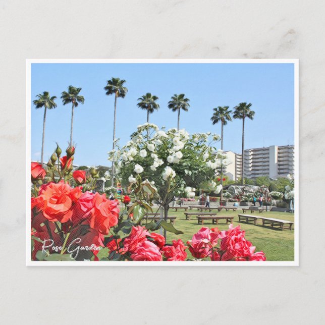 Rose Garden Postcard (Front)