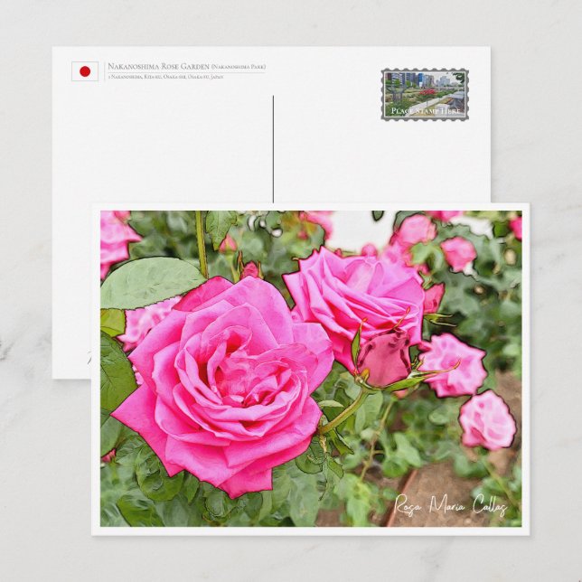 Rose Garden Postcard (Front/Back)