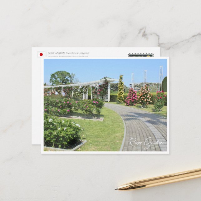 Rose Garden Postcard (Front/Back In Situ)