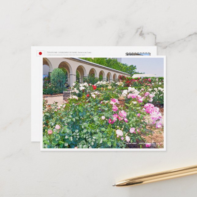 Rose Garden Postcard (Front/Back In Situ)