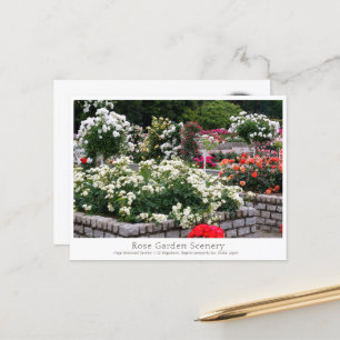 Rose Garden Scenery Postcard