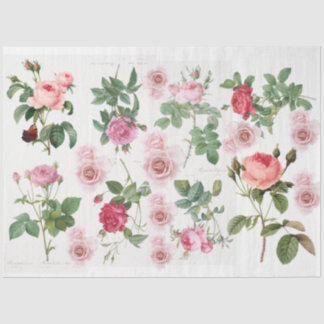 Rose garden tissue paper