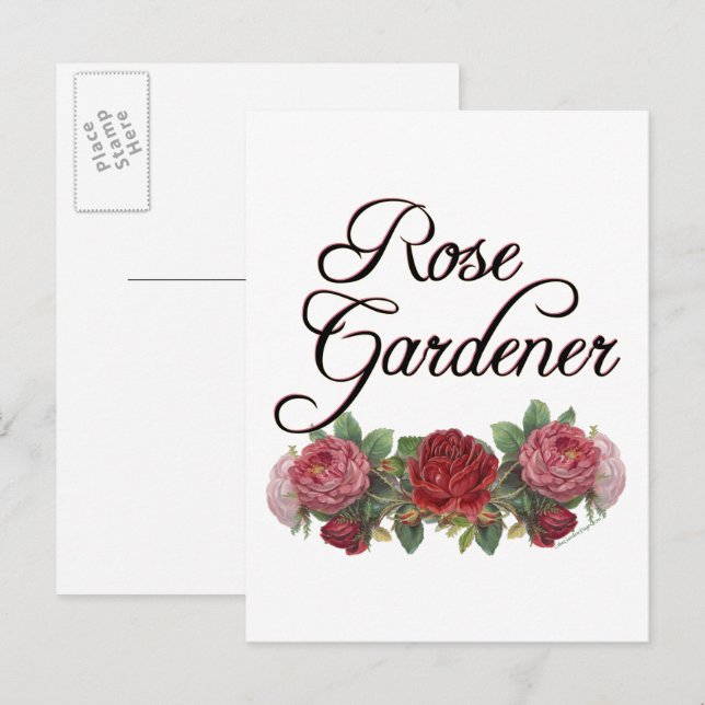 Rose Gardener Saying with Roses Postcard (Front/Back)