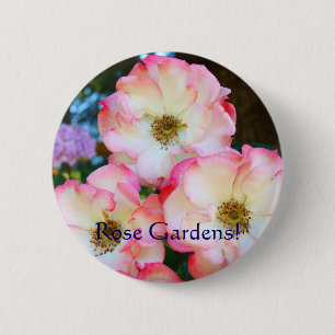 Rose Gardens! buttons Red White Roses Flowers