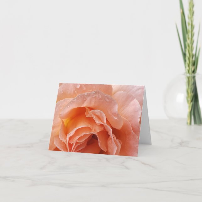 rose glistening after rain notecard (Front)