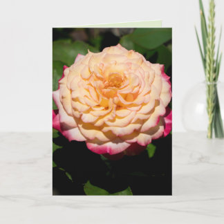 Rose Glory Card