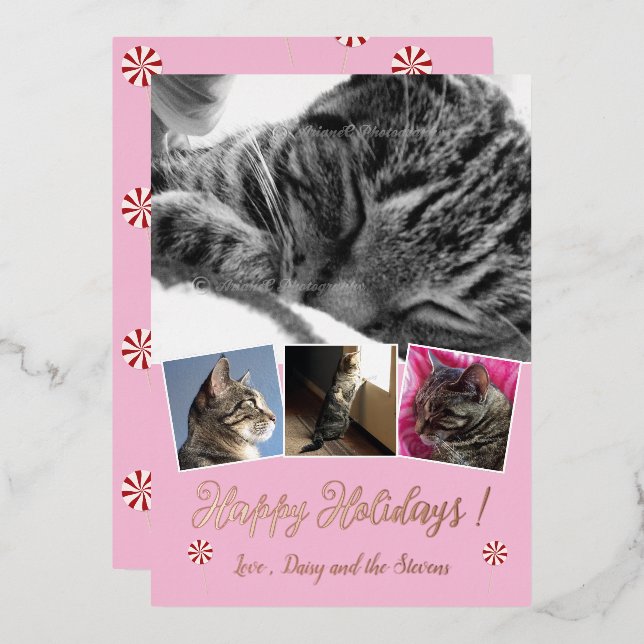 Rose Gold Foil Cat Photo Collage Pink Holiday Card (Front/Back)