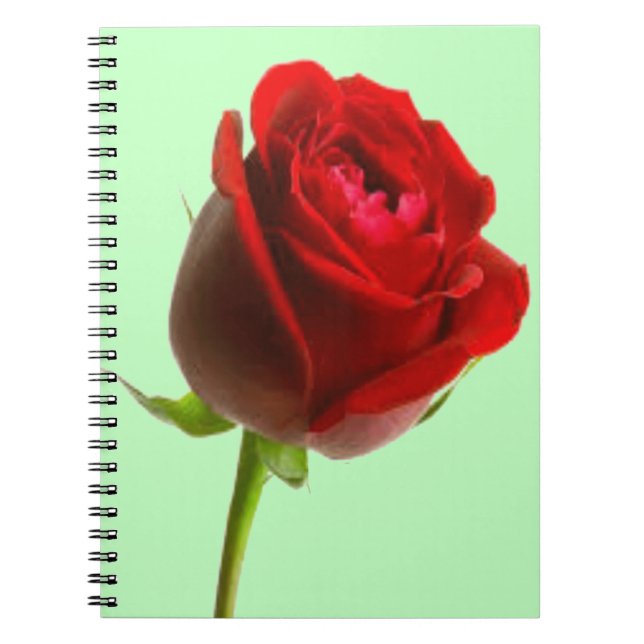 Rose & Green Notebook (Front)