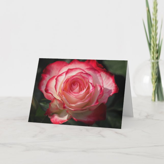 Rose Greeting Card (Front)