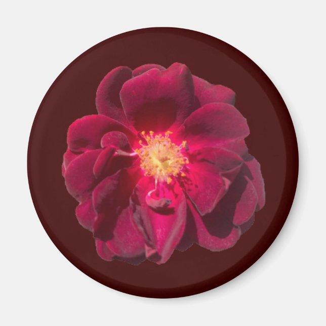 Rose H Magnet (Front)