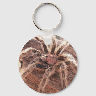 Rose Hair Tarantula Key Ring
