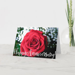 Rose + Happy Anniversary! Card