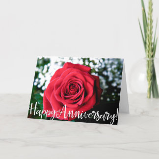 Rose + Happy Anniversary! Card