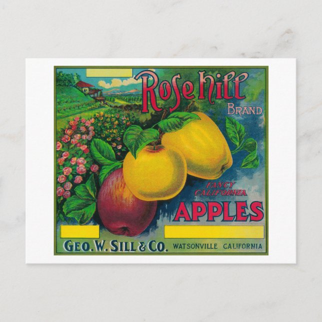 Rose Hill Apple Crate LabelWatsonville, CA Postcard (Front)