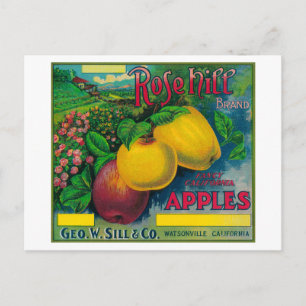 Rose Hill Apple Crate LabelWatsonville, CA Postcard
